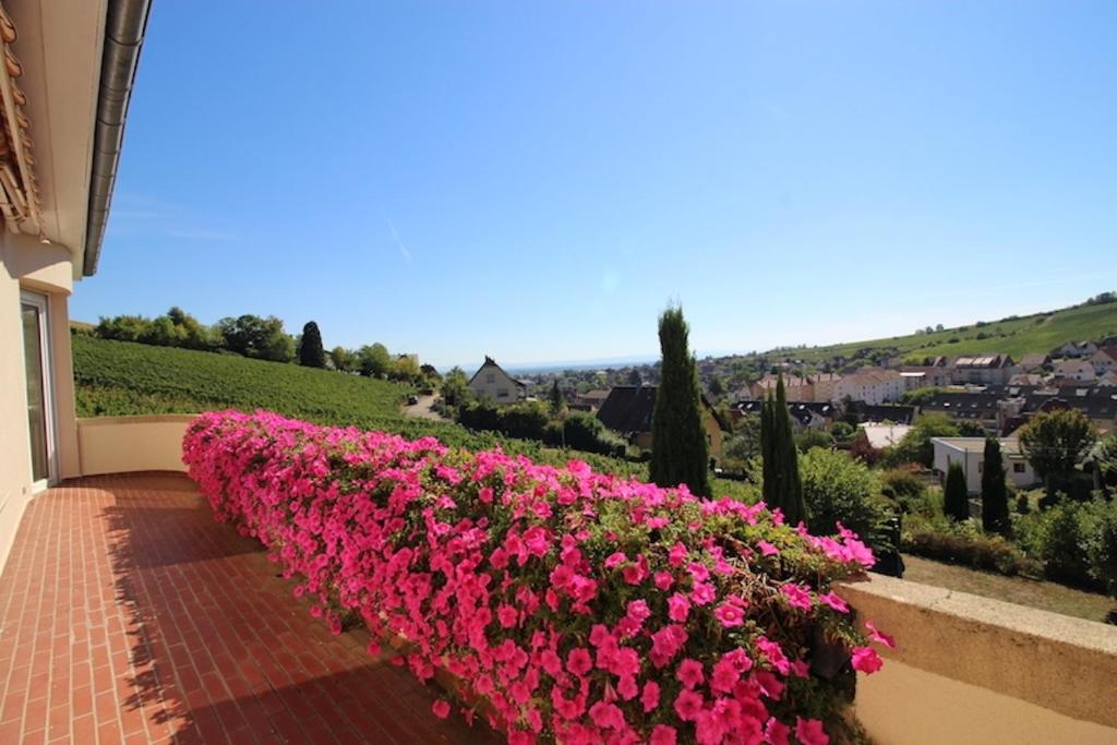 Appartement Escapade au Bube - Vue exceptionnelle - Nouveau 10 Chemin du Bubenbach, 67140 Barr