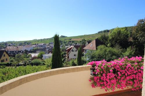 Appartement Escapade au Bube - Vue exceptionnelle - Nouveau 10 Chemin du Bubenbach Barr