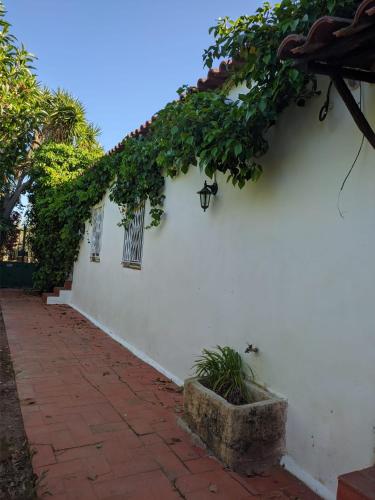 Estombar Novo Estômbar portugal