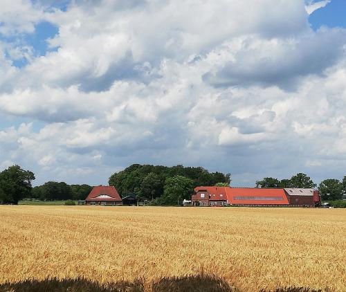 Etzel-Lodge Weideblick Friedeburg allemagne