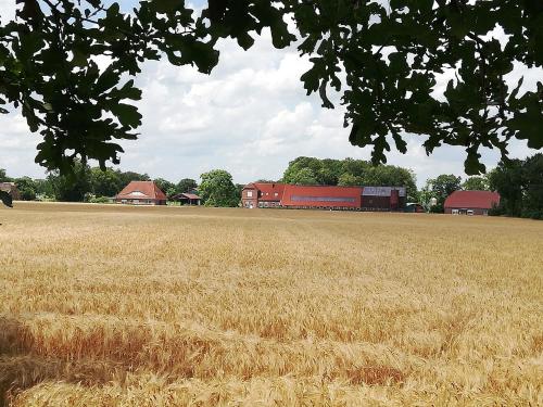 Appartement Etzel-Lodge Weideblick 13 Riepener Weg Friedeburg