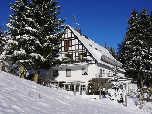 Exclusive group house in Winterberg with common room bar and large kitchen Winterberg allemagne