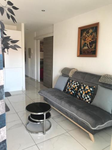 Appartement F2 1 chambre-Fonctionnel-sans vis à vis-A 2 pas de vos centres d'intérêts 1 Rue du Châtaignier bat B 47 Cannes