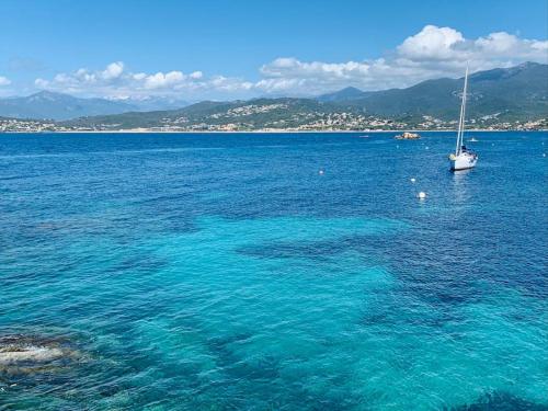 Appartement F2 avec jacuzzi, pétanque, à 3 min mer, dans grande propriété Route des Cannes Porticcio