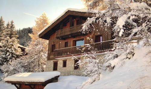 Chalet Fabulous chalet La Plagne - ski in-ski out - Sauna with Mont Blanc view Chalet Pierra Menta La Plagne Tarentaise