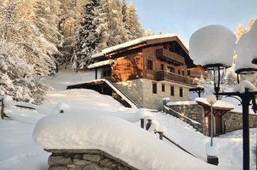 Fabulous chalet La Plagne - ski in-ski out - Sauna with Mont Blanc view La Plagne Tarentaise france