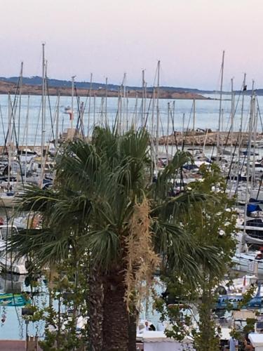 Appartement Face à la mer 6 Rue de la République Bandol