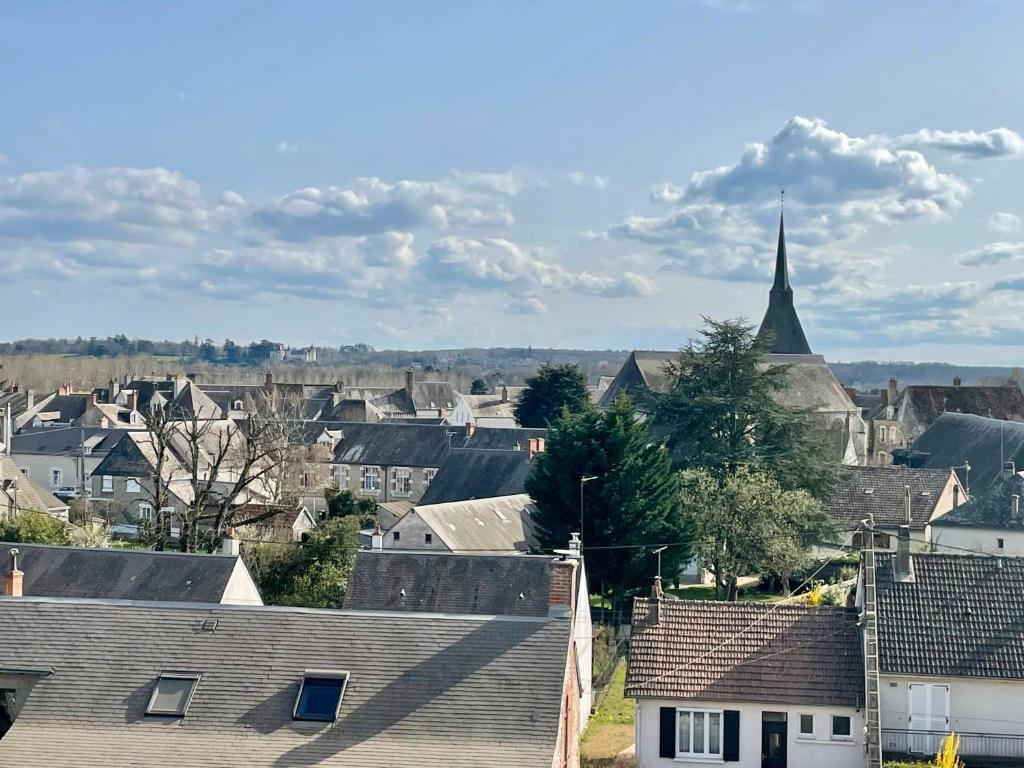 Maison de vacances Face Chateau de Chaumont sur loire Gîte La Rapinière 13 ter Rue des Rapins, 41150 Onzain