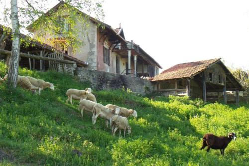 Chalet Faites le plein de nature ! Rue du village 1 Arbon