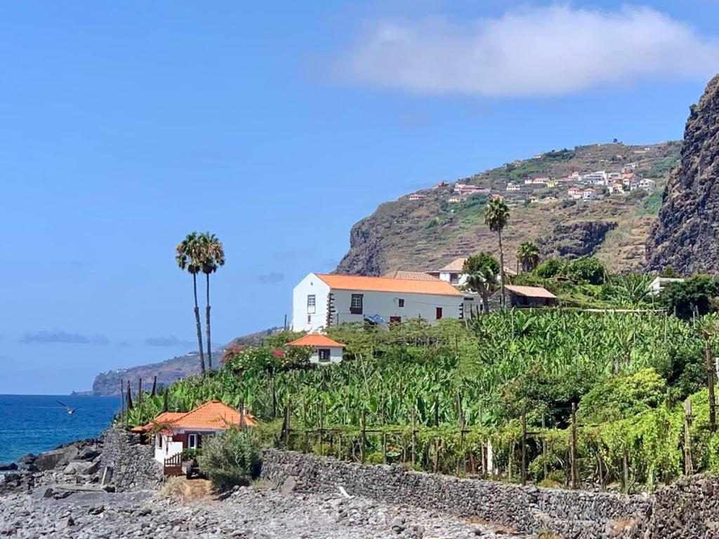 Maisons de vacances Faja dos Padres Estrada Padre António Diniz Henriques, Nº 1, 9300-261 Ribeira Brava