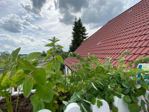 Appartements Familienhof Müritz Am Bahnhof 8 Klein Plasten