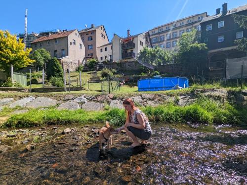 Familienwohnung für 3 mit Sauna, Pool & Terrasse - Famzi Sebnitz allemagne