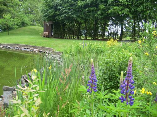 Séjour à la ferme Farm Stay Heidehof Ramscheiderhöhe 3-5 Hellenthal