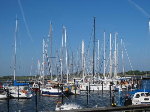 Fehmarn-OstseeferienHafenkieker179 Burgtiefe auf Fehmarn  allemagne