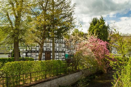 Feldmann-Schütte Schmallenberg allemagne