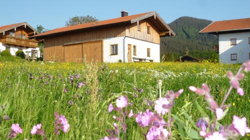 Séjour à la ferme Fembacherhof Feilenreit 4 Siegsdorf