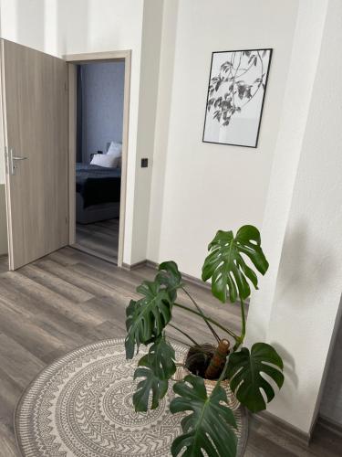 Appartement Ferien am Markt 3 Friedrichsdorfstraße Quedlinbourg