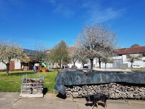 Appartement Ferien-/Monteurwohnung im Odw. 27 Klein-Breitenbach Mörlenbach