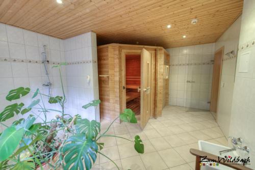 Appartements Ferienanlage Zum Wildbach Schierke Barenberg 15f Schierke