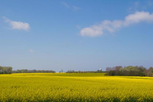 Ferienappartements im Fischerdorf unterm Reetdach Lancken-Granitz allemagne