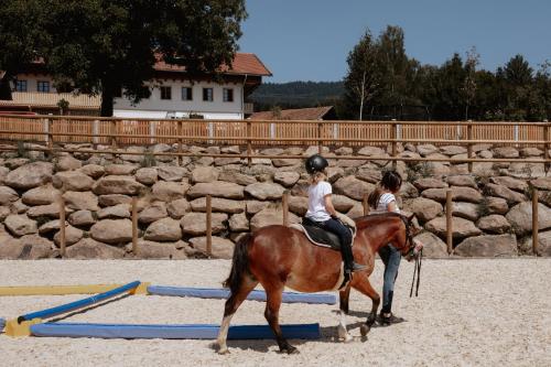 Appartements Ferienbauernhof Lieblhof 51 Traidersdorf Bad Kötzting