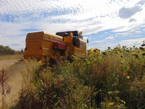 Ferienbauernhof Neumühle Gappenach allemagne