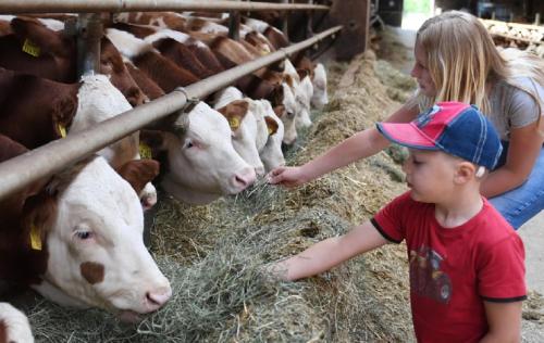 Séjour à la ferme Ferienbauernhof Schuler Steinabühl 7 Gunzenhausen