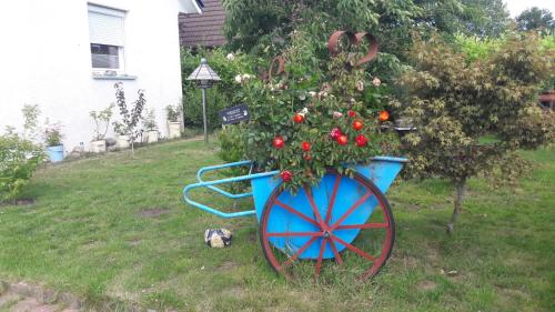 Appartement Ferienbungalow FeWo Eutin Süsel Sierksdorf Strand Ostsee 8 Wischhofkoppel Süsel