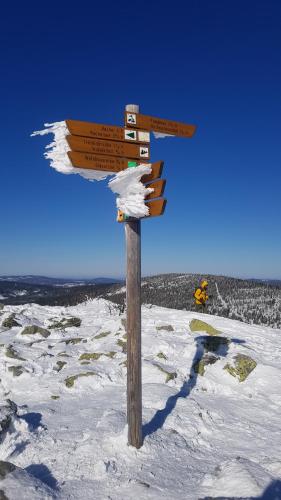 Ferienbungalow Sonnenwald Bayerischer Wald Schöfweg allemagne