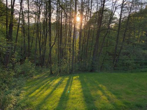 Maison de vacances Ferienchalet-Floesswehrtal Im Flößwehrtal 25 Bad Lauterberg