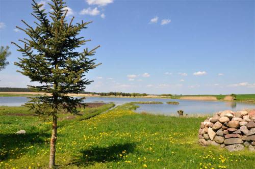 Ferienhaeuser auf dem Land Hoffelde SEE 8070 Hoffelde allemagne