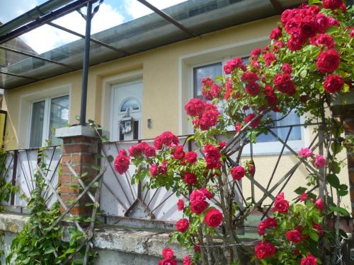 Maison de vacances Ferienhaus 1 Christina Heyder Oberer Ortberg 5 Elbingerode