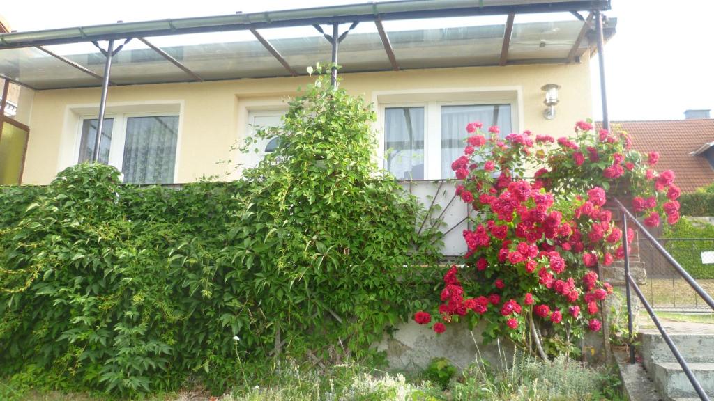 Maison de vacances Ferienhaus 1 Christina Heyder Oberer Ortberg 5, 38875 Elbingerode