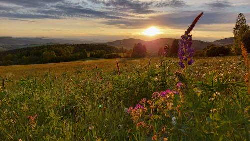 Ferienhaus Am Kirchberg Kurort Steinbach-Hallenberg allemagne