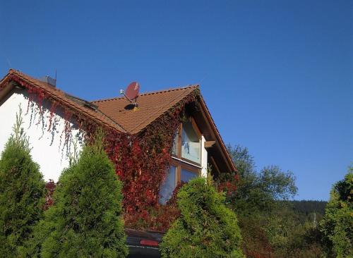 Appartement Ferienhaus am Löffelberghüttchen Löffelbergstraße Gießübel
