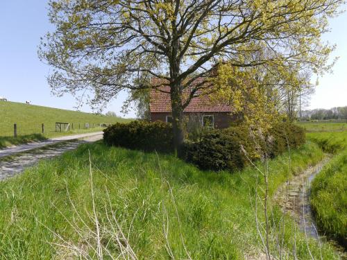 Ferienhaus am Nordseedeich in Alleinlage Hooksiel allemagne