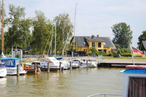 Ferienhaus am Saaler Bodden Neuendorf allemagne