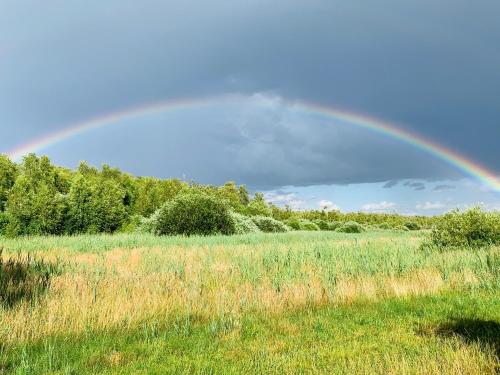 Ferienhaus am Seegrund Ahlbeck allemagne