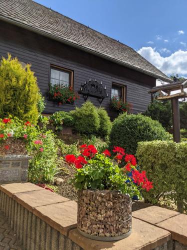 Ferienhaus an der Fichtelbergbahn Cranzahl allemagne