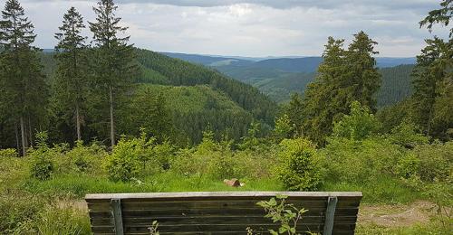 Maison de vacances Ferienhaus Astenblick für große Gruppen - Familienfeiern oder Betriebsfeiern Bundesstraße 14 Winterberg