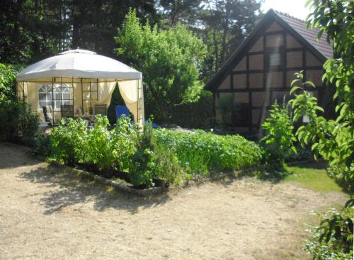 Ferienhaus Bildt Kolpinsee allemagne