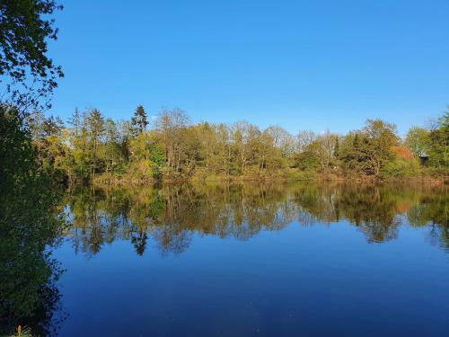 Ferienhaus blauer See Bockhorn allemagne