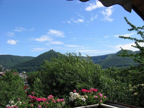 Appartements Ferienhaus Christel 25 Im Kolzental Bad Urach