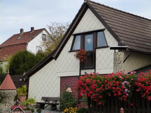 Ferienhaus Cramer Walkenried allemagne