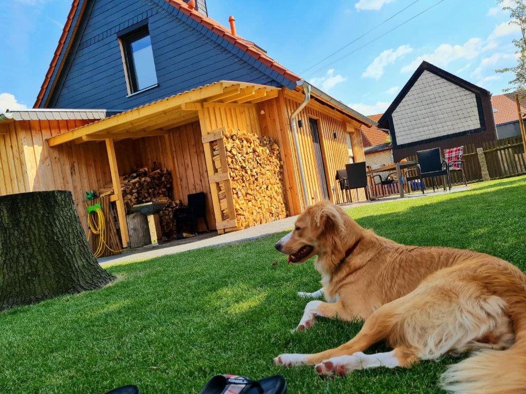 Maison de vacances Ferienhaus Darlingerode 5 Fischmarkt, 38871 Darlingerode