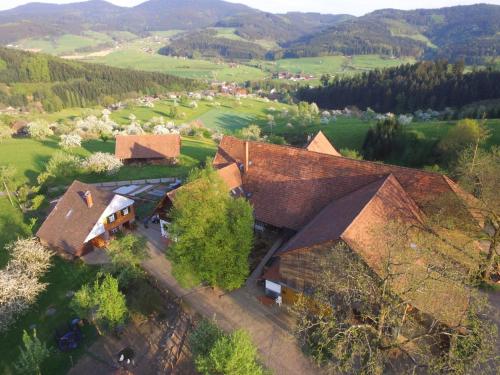 Maison de vacances Ferienhaus Eck Eck 1 Unterharmersbach