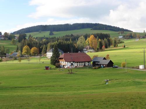 Appartement Ferienhaus Ehinger Bachleweg 2 Breitnau