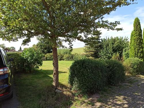Maison de vacances Ferienhaus Friesenrose 45237 Achter´d Diek 2 Ditzum