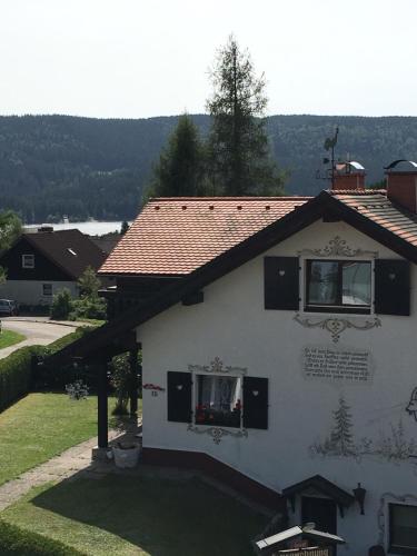 Appartements Ferienhaus Haber Lärchenweg 15 Schluchsee