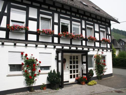 Ferienhaus Haus am Medebach Olsberg allemagne